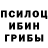 Галлюциногенные грибы Cubensis Mike Noob