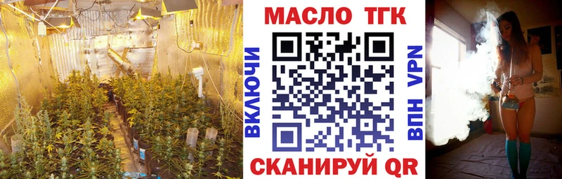 ТГК гашишное масло  где продают наркотики  Плёс 