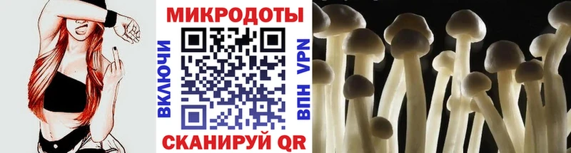 купить наркотик  Плёс  Псилоцибиновые грибы ЛСД 